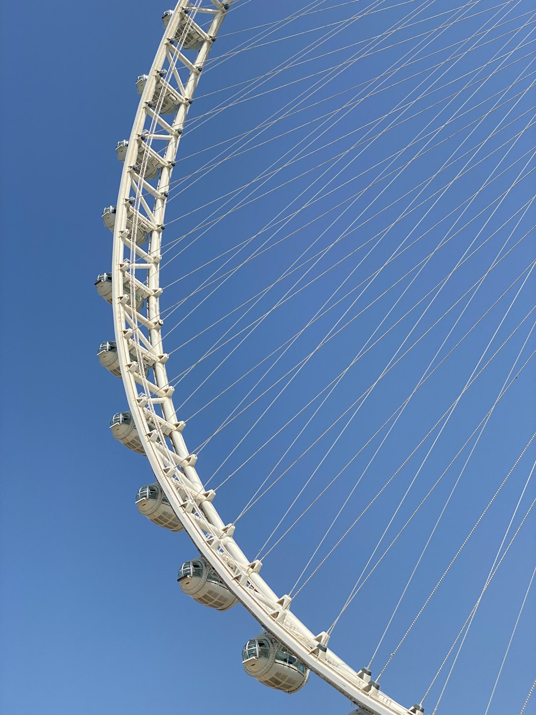 Museum of the Future